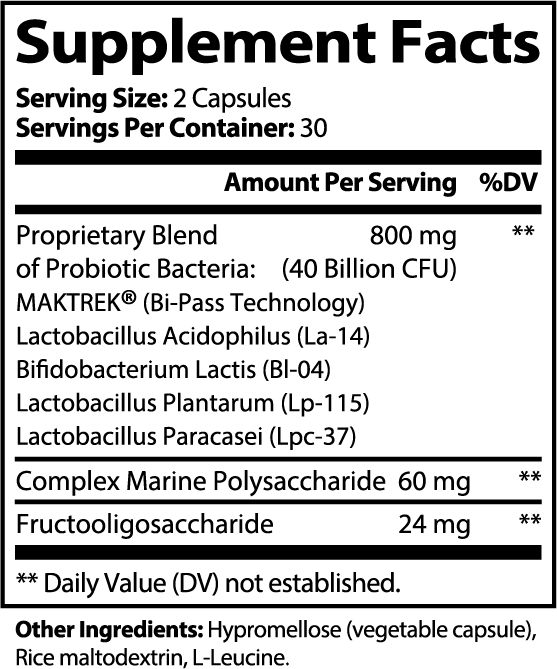 Foundation Probiotic